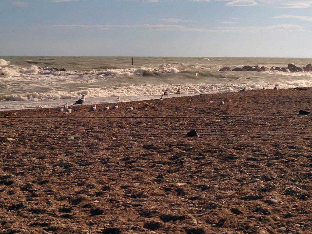 Spiagge