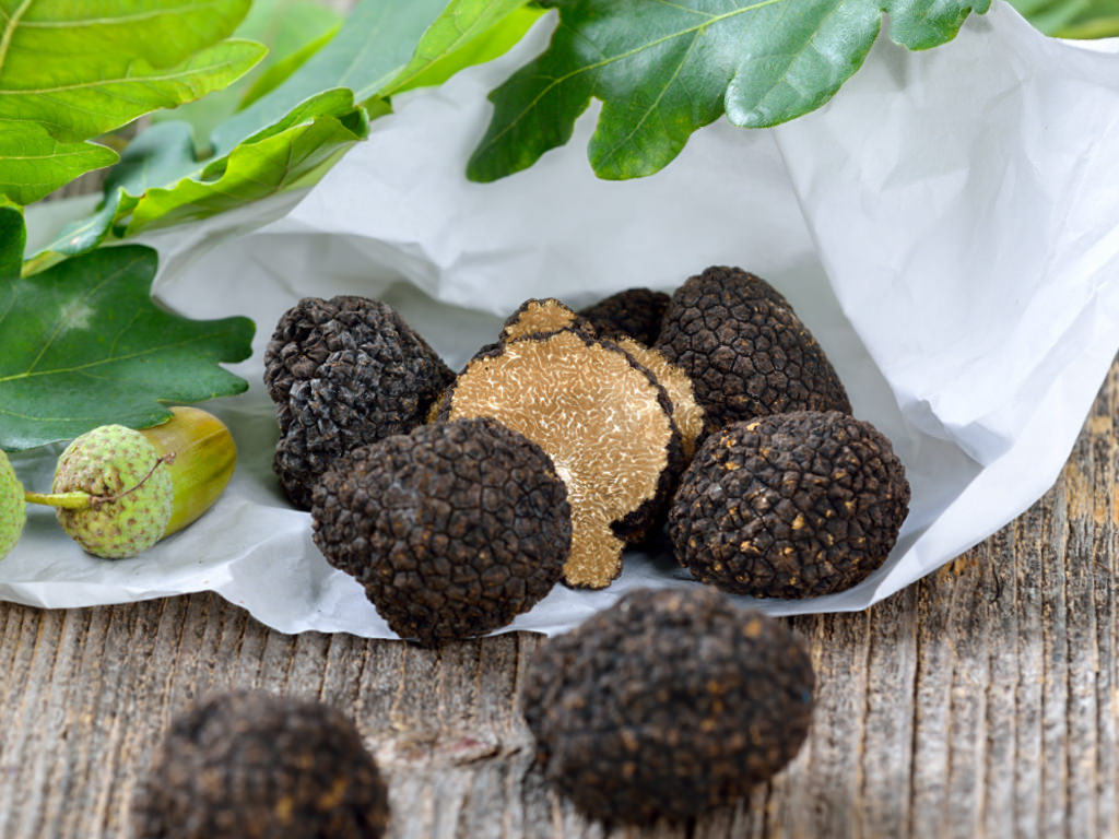 Funghi e tartufi