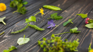 foglie e fiori erbe spontanee su un tavolo