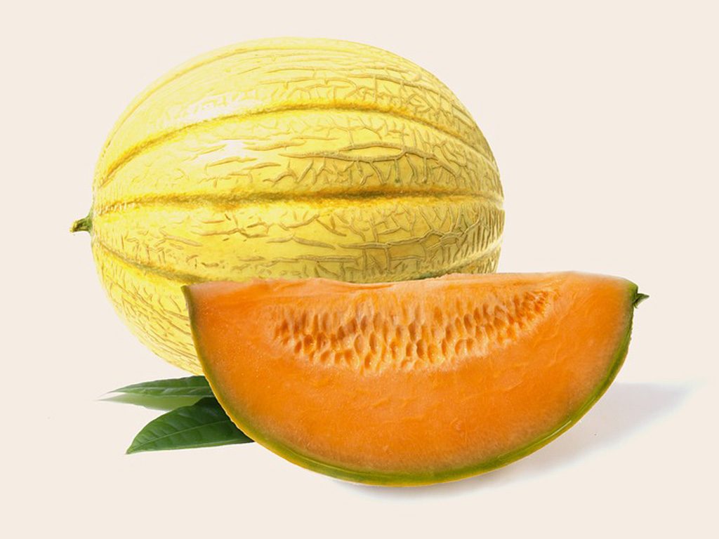 Melone Maceratese