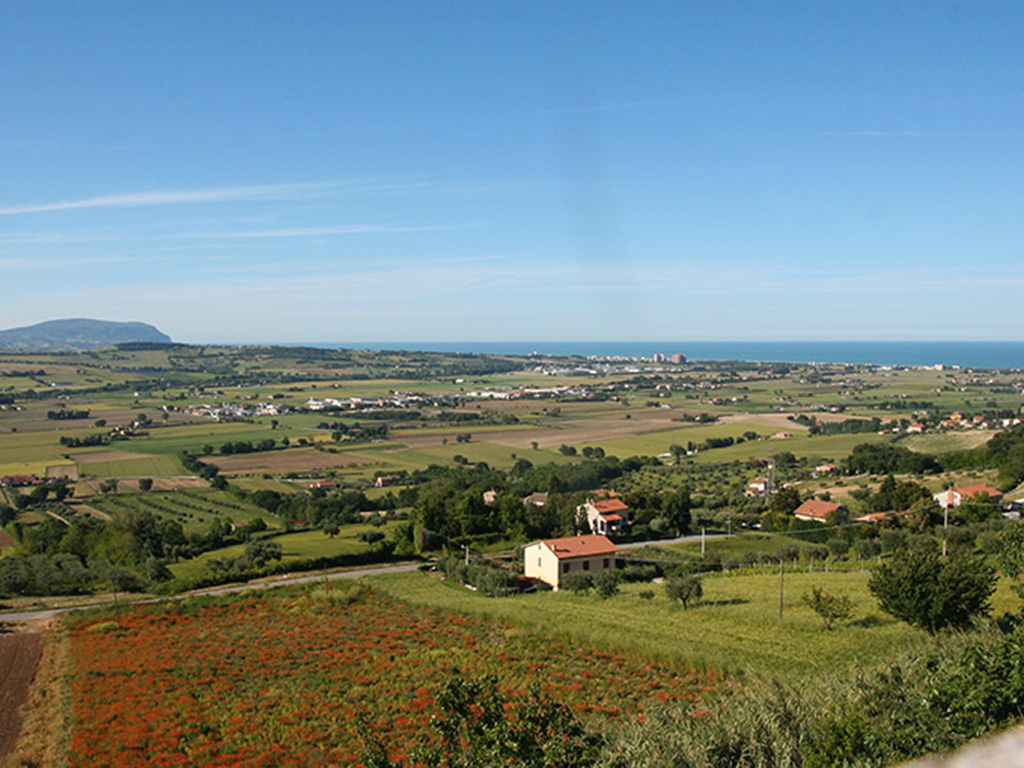 Campagna Potenza Picena