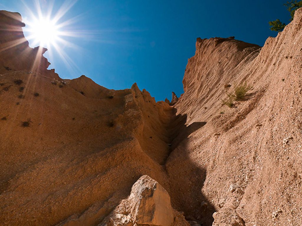 Lame Rosse